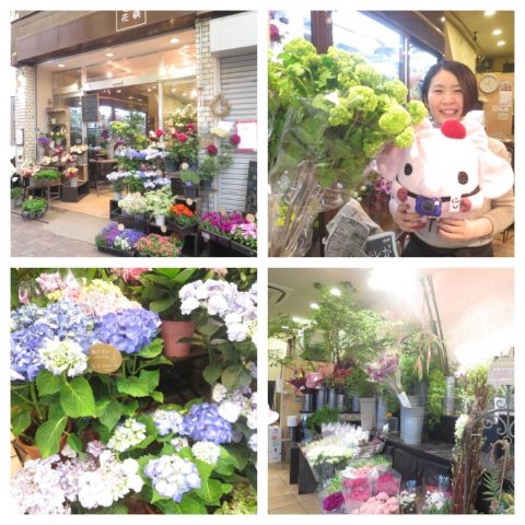 花萌｜西荻のお花屋さん｜にしぞう取材レポート
