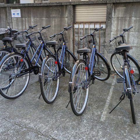 ＴＳマーク更新！｜自転車保険