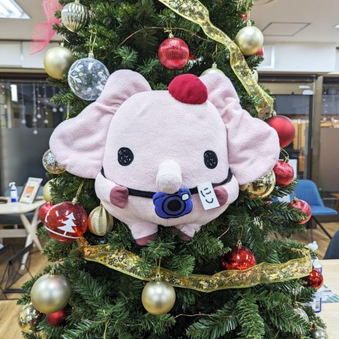 浜商のクリスマス2023♪
