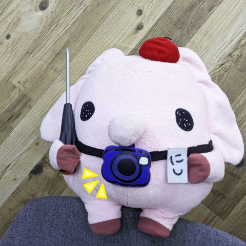 3月になりました!