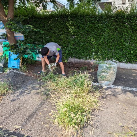 炎天下の除草作業｜不動産管理のお仕事