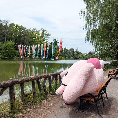 善福寺公園のこいのぼり