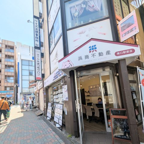天気の良い日曜日です☆